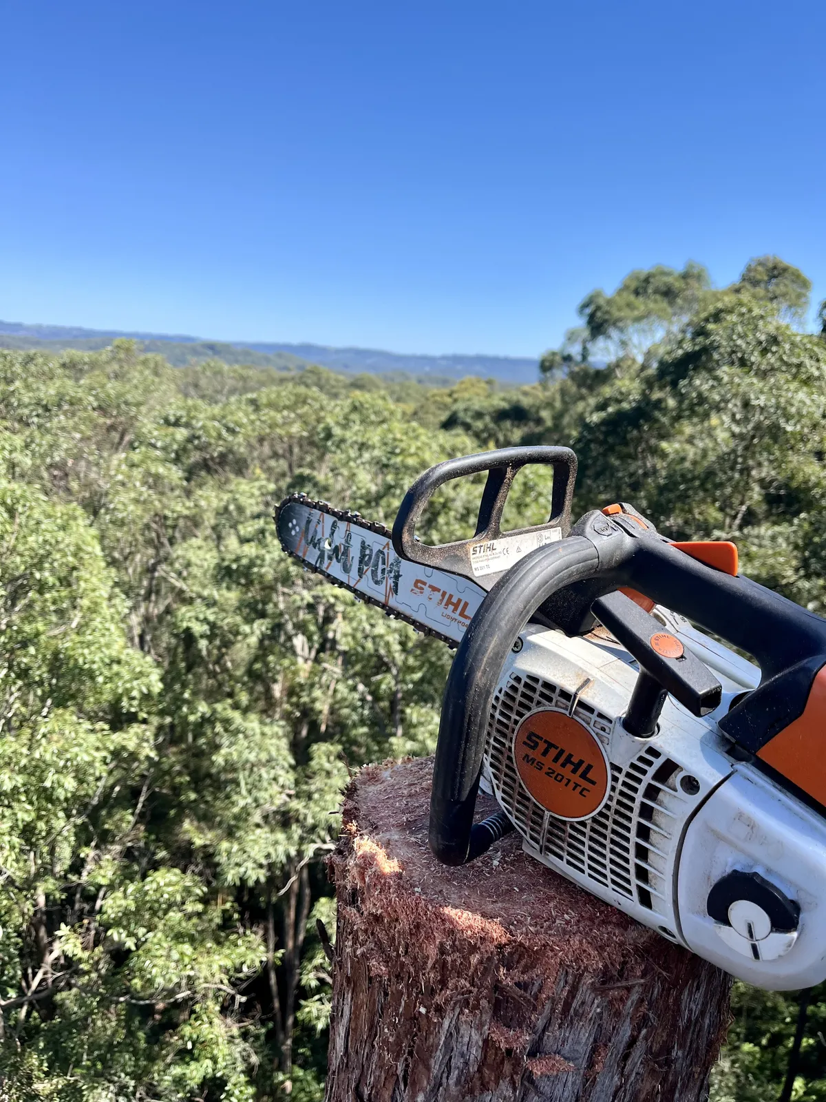 Stump Grinding Sunshine Coast