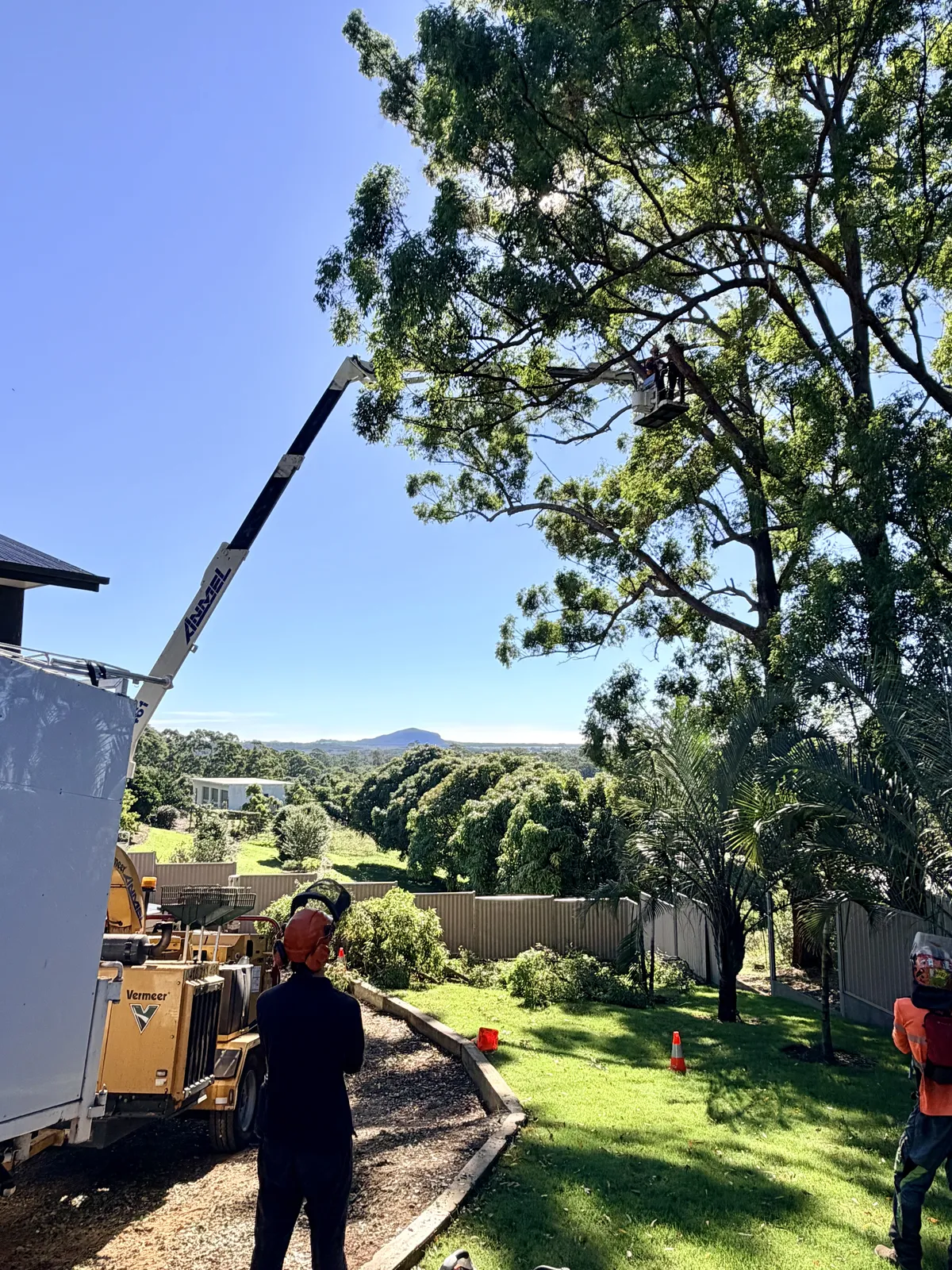 DT ArborTrees crew on a Sunshine Coast job