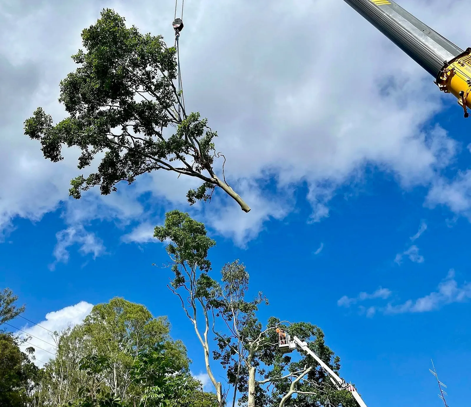 Crane assisted removal